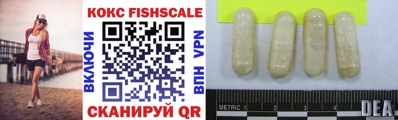 COCAIN Fish Scale  купить наркотики сайты  Новороссийск 
