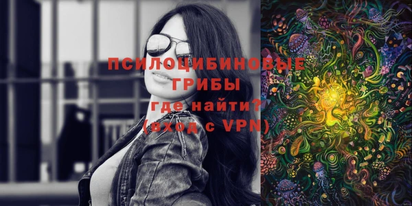 ALPHA-PVP Алексин