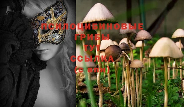 PSILOCYBIN Алексеевка