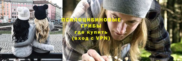 PSILOCYBIN Алексеевка