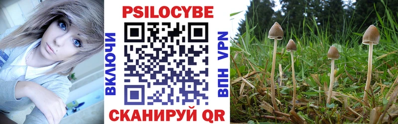 Псилоцибиновые грибы Psilocybe  купить наркоту  Новороссийск 